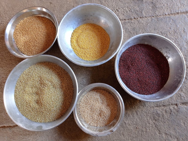 Millet Processing